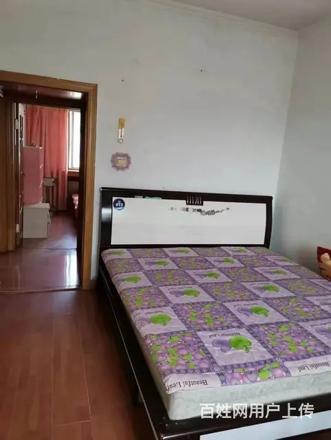 地铁房洮昌公务员(大东-洮昌) 普通住宅1厅 中等装修 - 图片 3