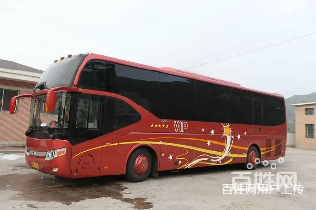 宠物运输/义乌宠物托运（宿州宠物网 - 图片 5