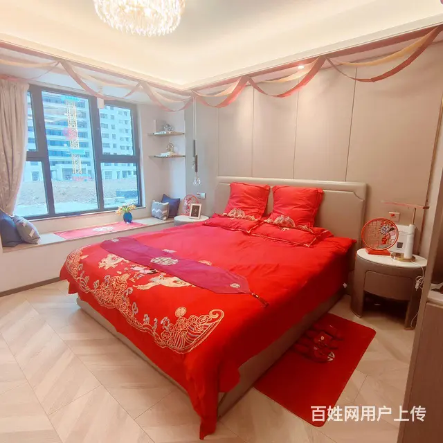 碧桂园天玺，苏宁悦城旁，金鹏玖玖广场旁，送全屋家电 - 图片 7