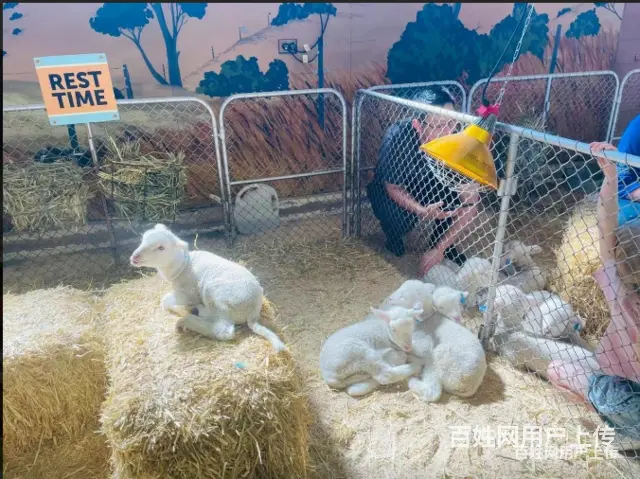 出国劳务合法途径环洋劳务-安心出国打工 - 图片 4