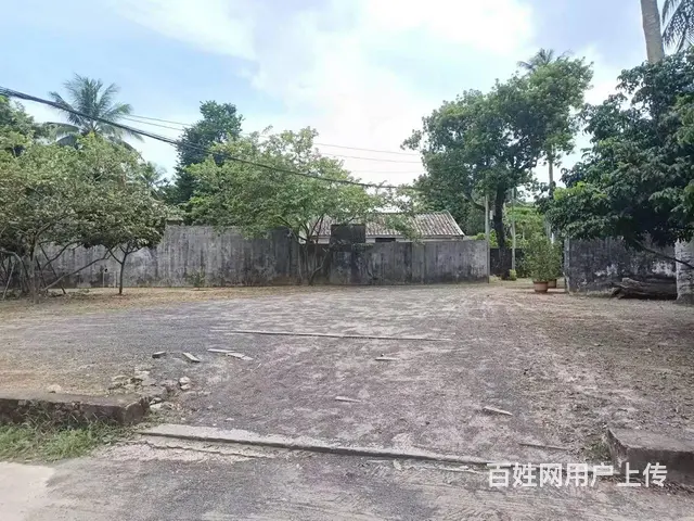 （51旺铺推荐）琼山区新大洲大道整栋2000平招租 - 图片 7