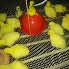 养殖场转让