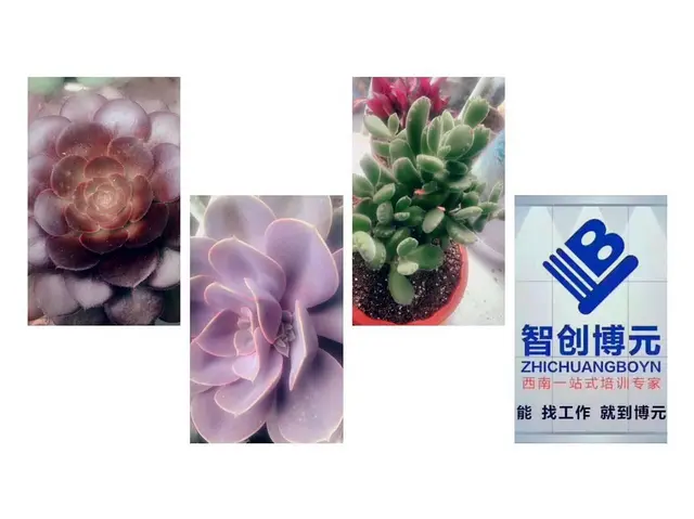 德阳插花花艺培训到博元学校 - 图片 5