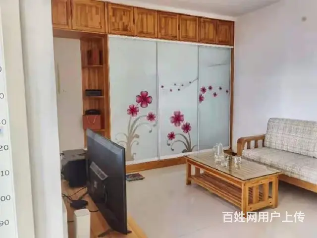 南大街振华国际一室一厅海景好房出租了 - 图片 1