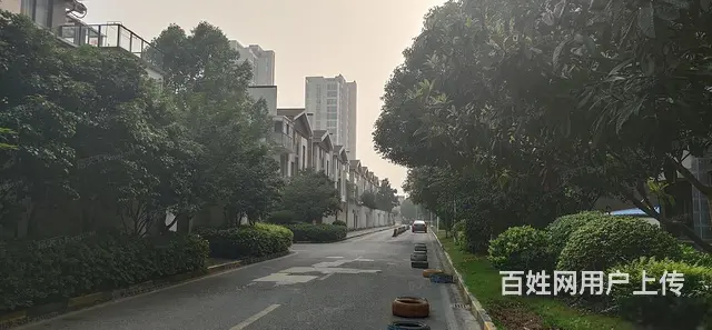 江理工旁 新城长岛 三开间朝南双阳台 保养好 随时 - 图片 10