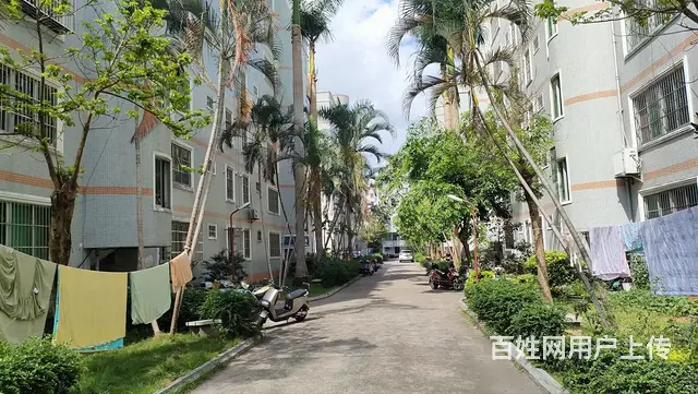 秀英海波市场商圈      海湾怡园3房精装修 - 图片 9