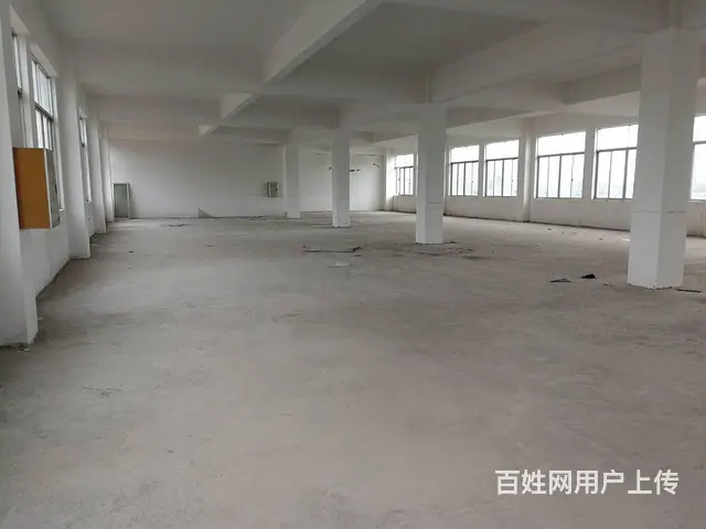 斗门珠峰大道旁全新厂房 - 图片 8