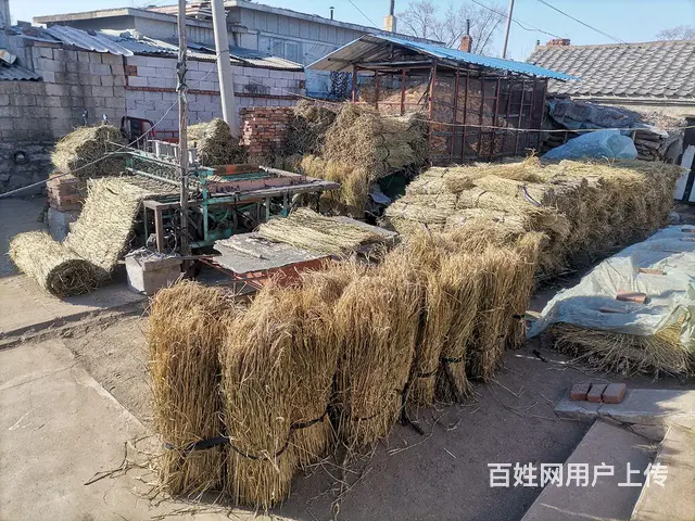 买卖手割稻草和卖稻草帘，卖柴油机和自作玉米脱粒机 - 图片 2