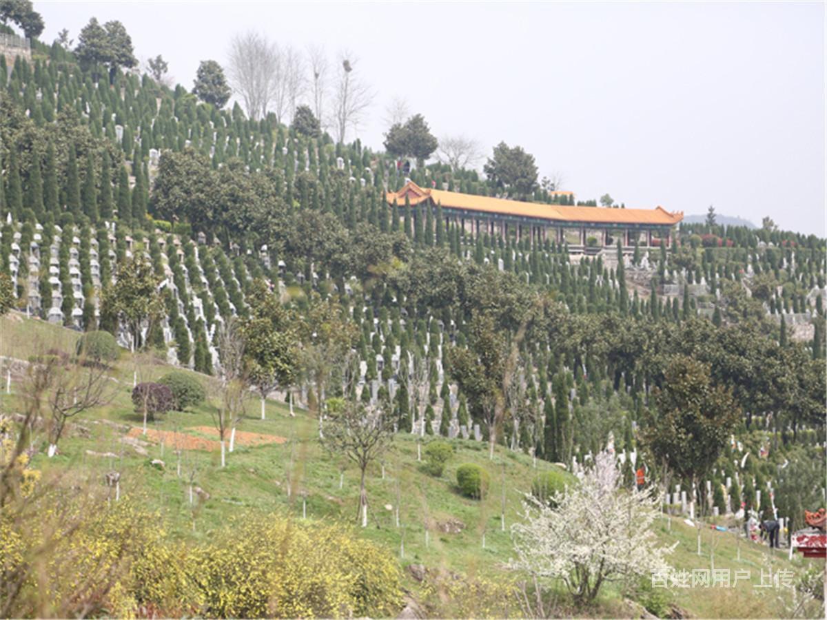 西安九龙山公墓墓地价格是多少钱?