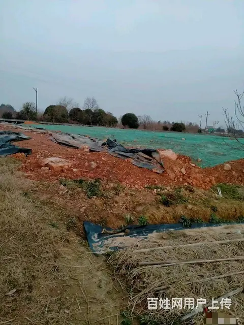 （房东直租）安沙水渡河，黄兴大道旁2000平场地出租 - 图片 4