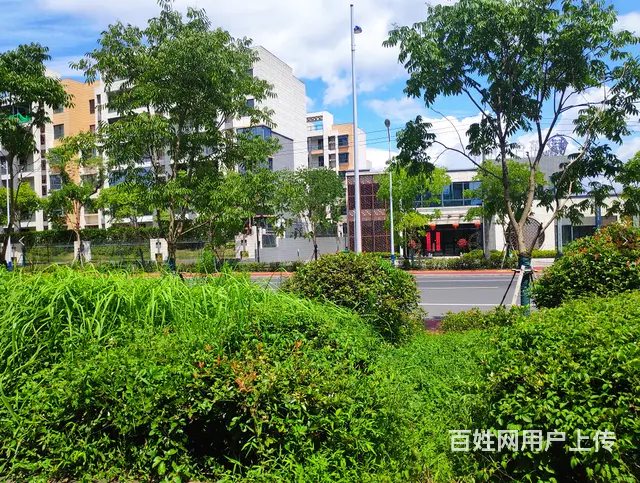 依云红郡单层80平方米店面急售 - 图片 8