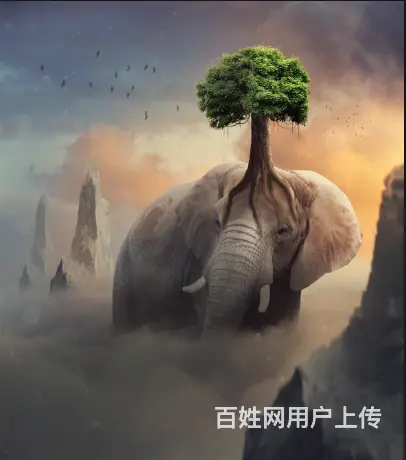 ps培训机构哪个好_零专业基础入门! - 图片