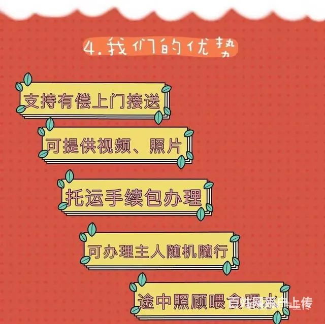 推荐） 龙口宠物托运到全国）（猫狗）邮寄快递（宠物活体运输） - 图片 2
