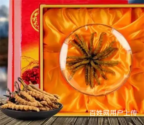 番禺冬虫夏草回收市场价格是多少-上门收购冬虫夏草 - 图片 2