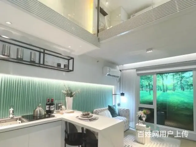 总价三十多万买！新北高铁新城弘阳云峯复式公寓买 - 图片 3