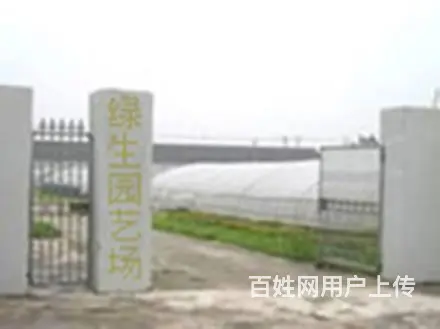 苏州地区花卉绿植租赁养护，苗圃基地批发直销 - 图片 1
