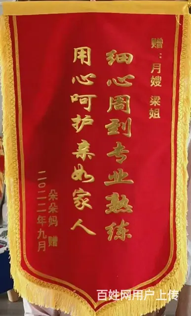 保姆，护工，月嫂，育婴师，保洁 - 图片 2