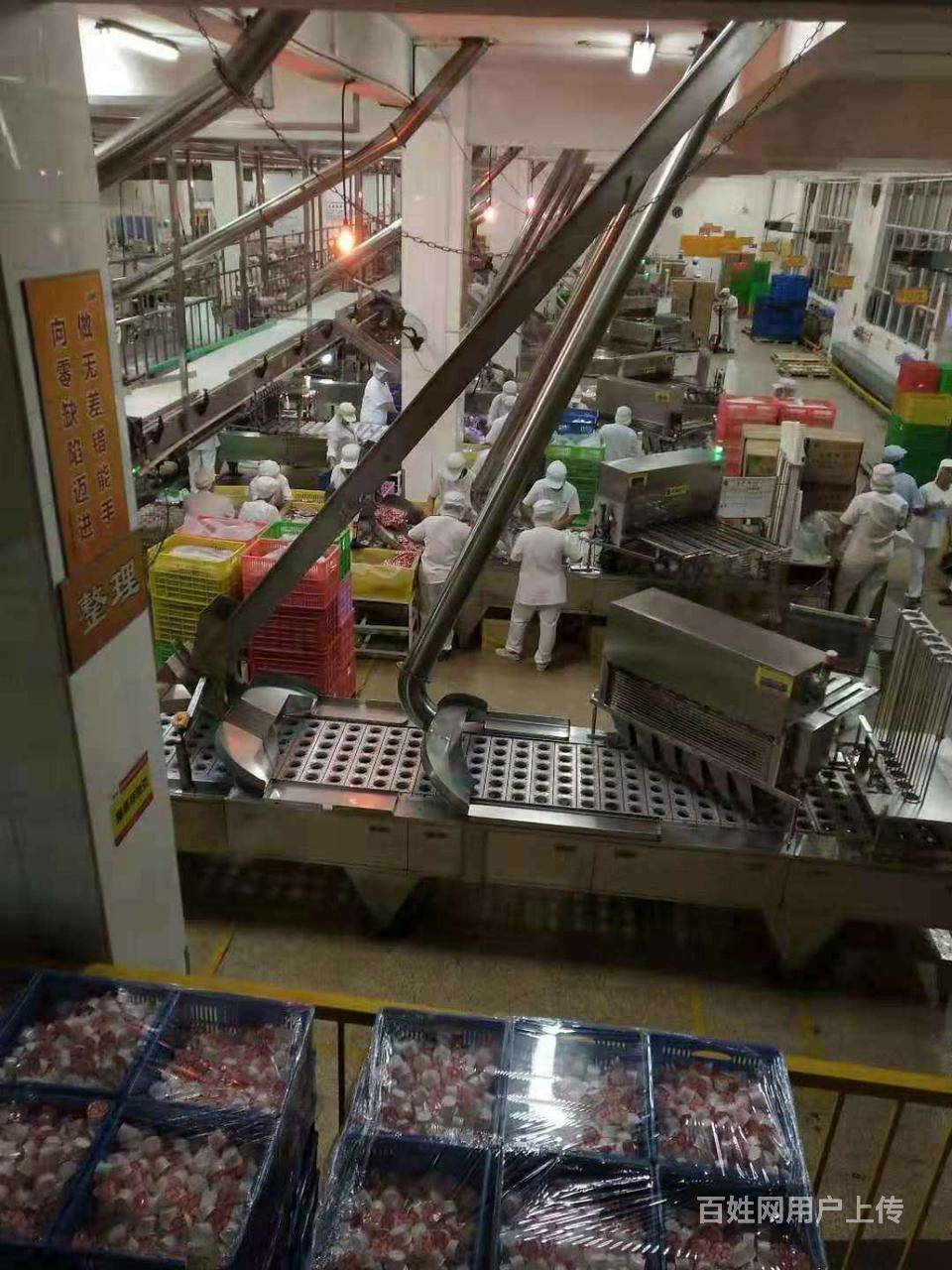 242元一天湖州香飘飘招男女工6500元以上