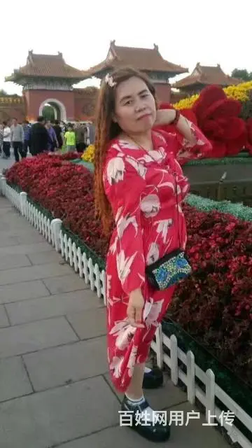 寻找真爱，不离不弃 - 图片 5
