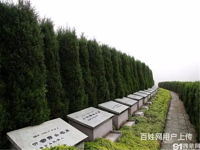 沈阳隆宝山墓园多少钱一块墓地 - 图片 6