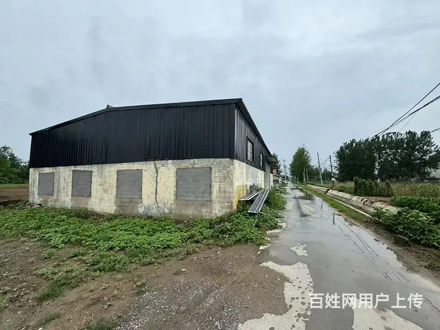 新建钢构仓房出租 - 图片 2