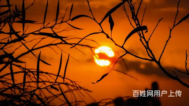 苏州常熟无锡英语日语韩语同声传译翻译公司 - 图片