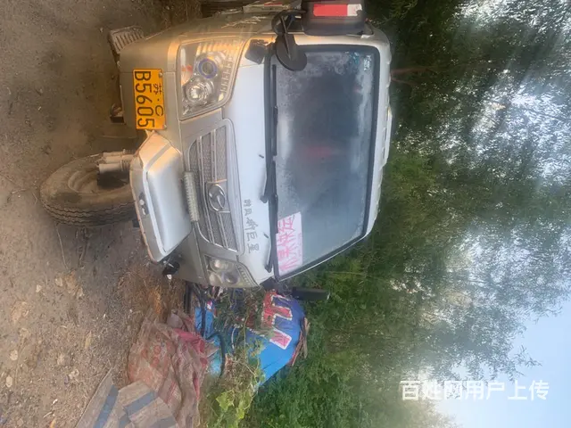 那水果的一点毛病都没有 - 图片 3