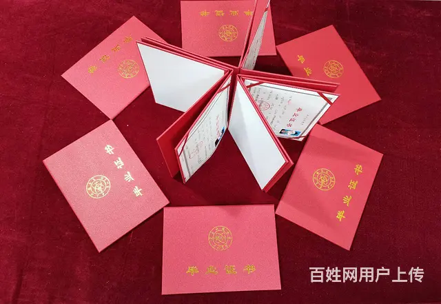 内蒙古成人高考通关指南｜打工人/宝妈逆袭全日制学历 - 图片 3