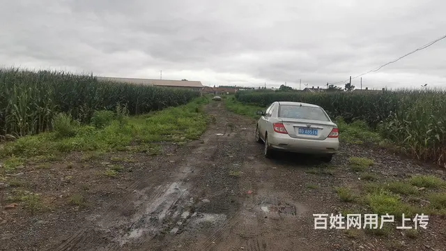 有个两万多平的土地还有700平的房子 - 图片 3