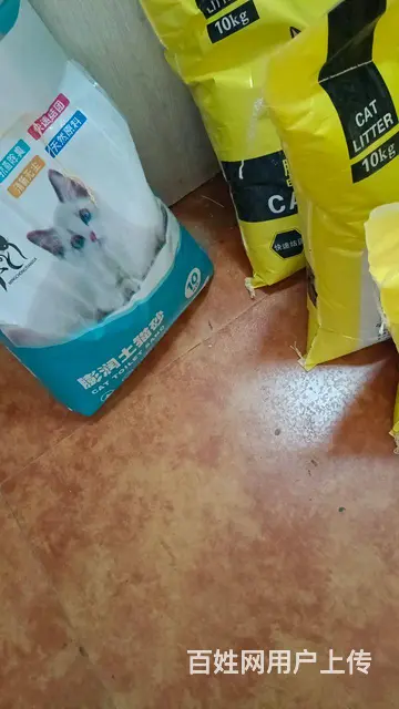 鹏润土猫砂 赤峰同城送货 - 图片 2