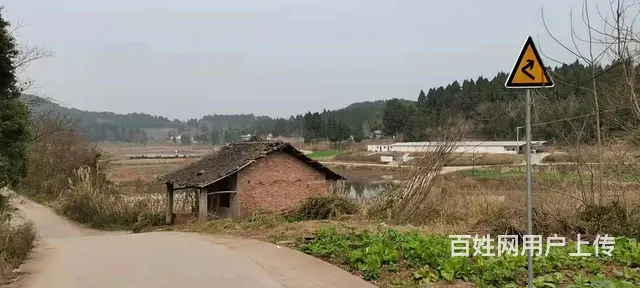 四川资阳市雁江区240亩林地转让 - 图片 6