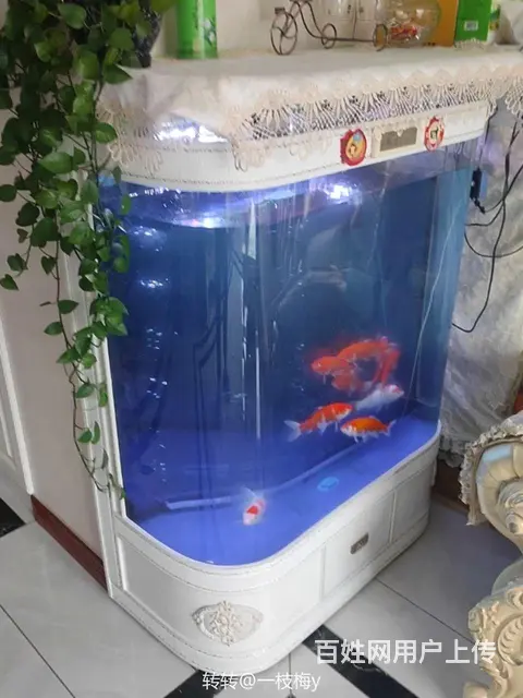 水族箱——欧式大型鱼缸 - 图片 2