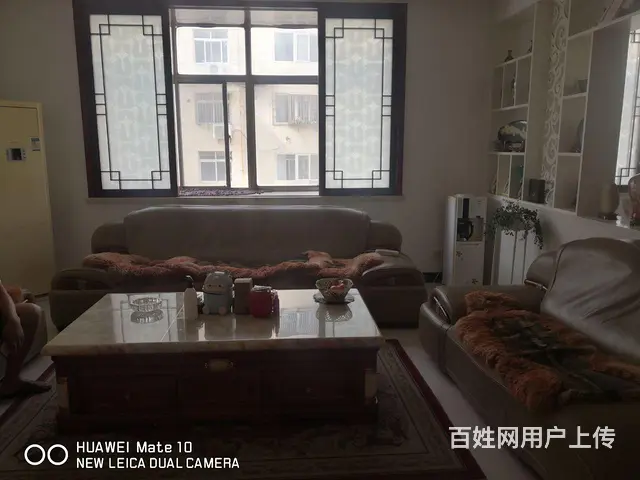 政协家属院 - 图片 5