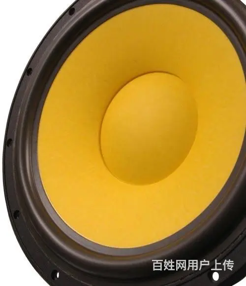 99新HiVi 惠威 D10G 中低音喇叭一对 - 图片 5