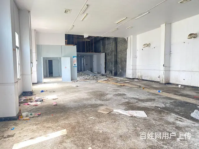 （房东直租）宁乡双凫铺2000平独院厂房，带1000平场地出 - 图片 9