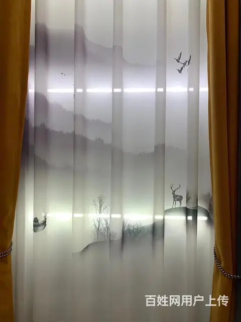 专业维修制作各种门窗。换玻璃，换门窗滑轮，做纱窗， - 图片 9