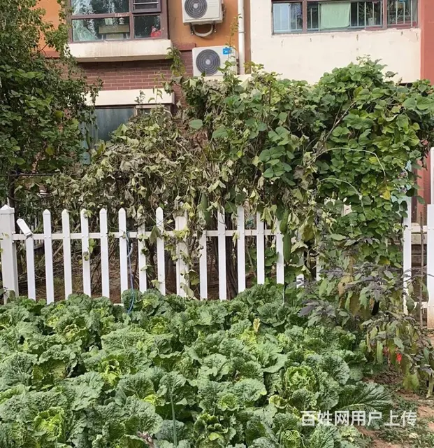 地铁房特变之家(铁西) 普通住宅2厅 精装修 - 图片 12
