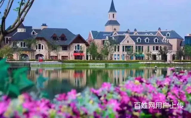 安吉繁花郡.自带商业配套.对口学区.紧邻杭安轻轨 - 图片 2