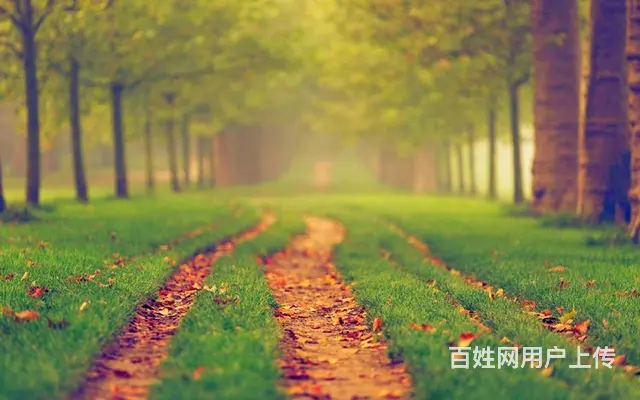 快手体育做广告效果会怎么样 - 图片