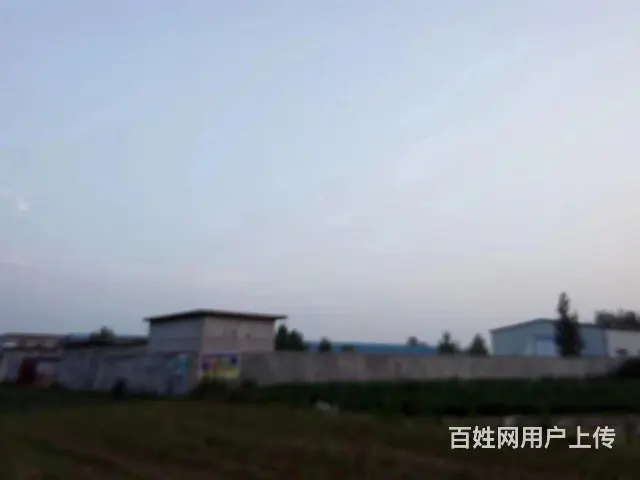 (58)临港经济开发区 6亩国有土地院子厂房 可租可售 - 图片 4