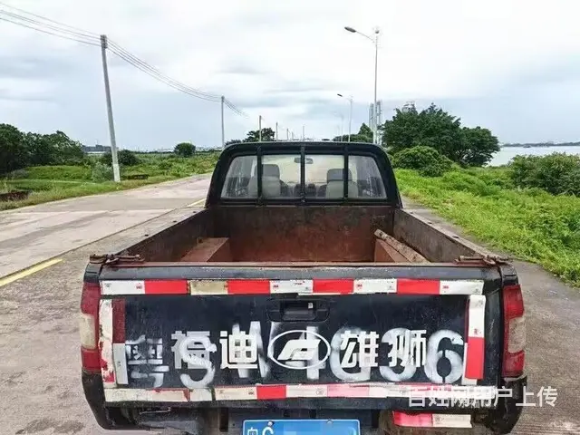 12年福迪雄狮皮卡 - 图片 6