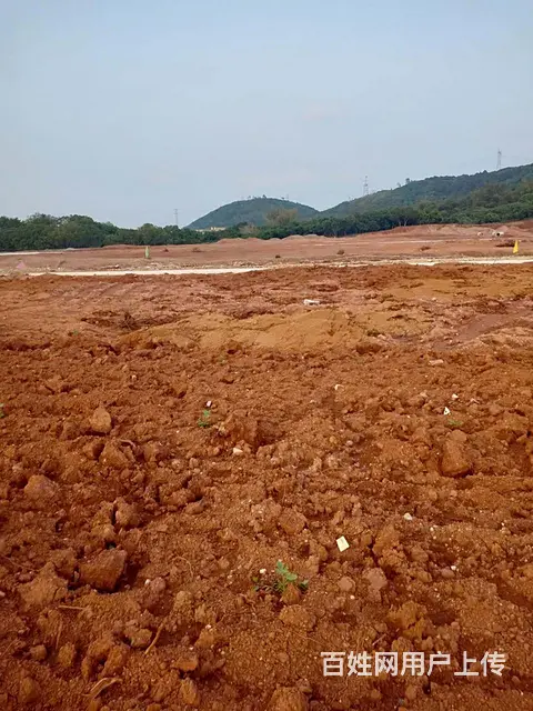 碧桂园塘岸路口附近农地入市集体土地转让岀售 - 图片 5