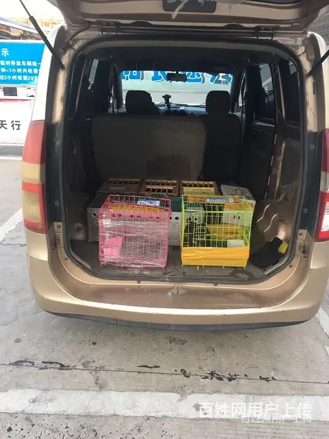 日喀则宠物托运速运24小时内送达2022已更新 （今日//热 - 图片 1