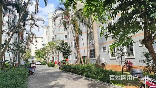 秀英海波市场商圈      海湾怡园3房精装修 - 图片 11