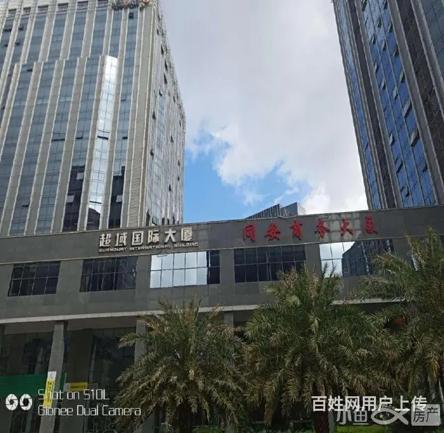 五缘湾运动馆  海富翔安湖里大厦  精装多套42元多套急租 - 图片 8