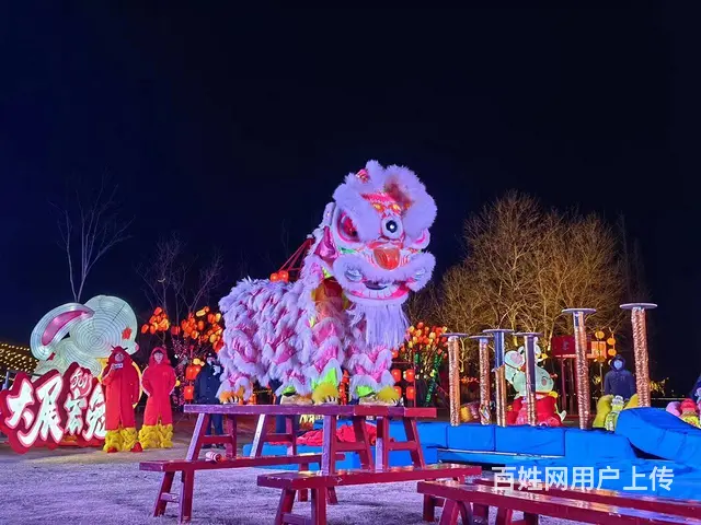 长沙专业承接舞狮演出开业庆典舞龙表演 - 图片 12