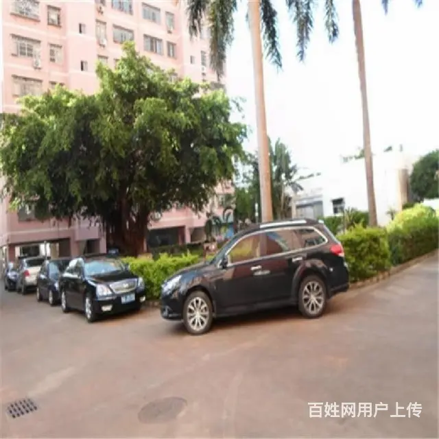罗牛山花园2房    世纪公园商圈 - 图片 11