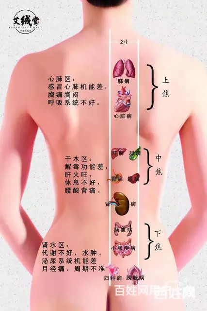 资讯:@脸部全身青春痘怎么办？液体艾灸艾绒液招商加盟/安徽霍 - 图片 8