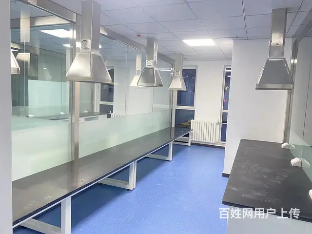 泰州实验台厂家 批发钢木边台中央台 全钢通风柜橱 - 图片 6