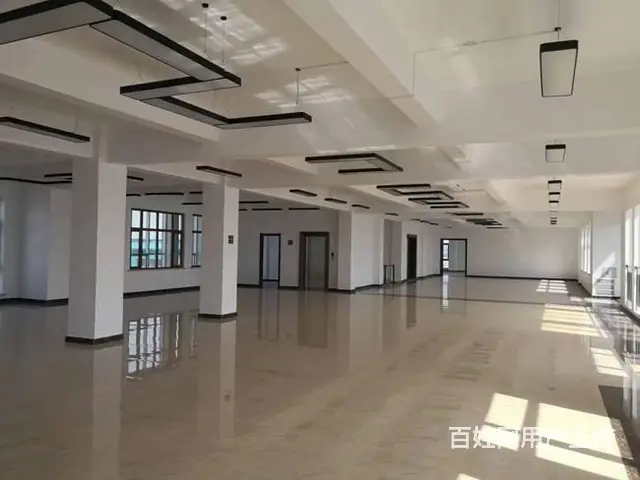 哈南第十二大道精装修办公楼出租 - 图片 4